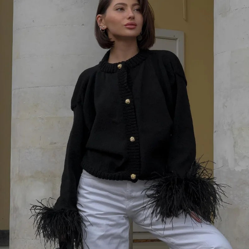 50966984458569|50966984622409|50966984687945